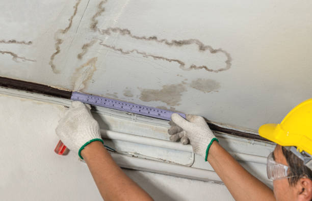 Reliable Burst Pipe Cleanup contractor in McCoy, CO by Water Damage Irwin